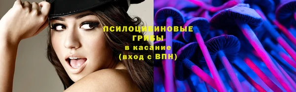 соль ск Бородино
