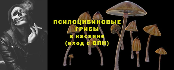соль ск Бородино