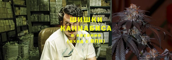 соль ск Бородино