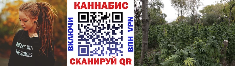 Шишки марихуана гибрид  MEGA   Ачхой-Мартан  где купить наркотик 